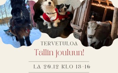 Tallin Joulu la 20.12. klo 13-16
